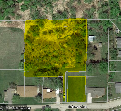 451 Coleman Ave E, Eden Valley, MN 55329