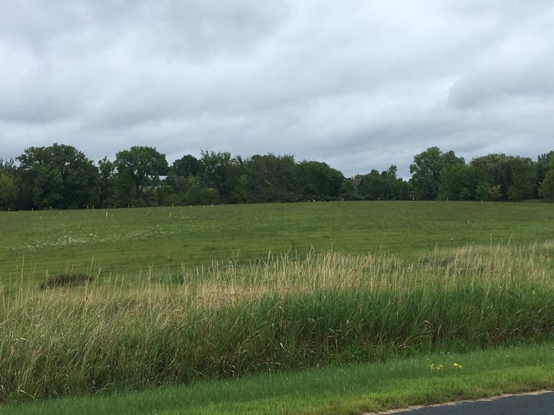 4xxx Hickory Hill Trl, Prior Lake, MN 55379