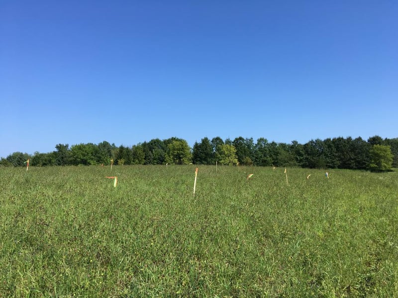 4xxx Hickory Hill Trl, Prior Lake, MN 55379