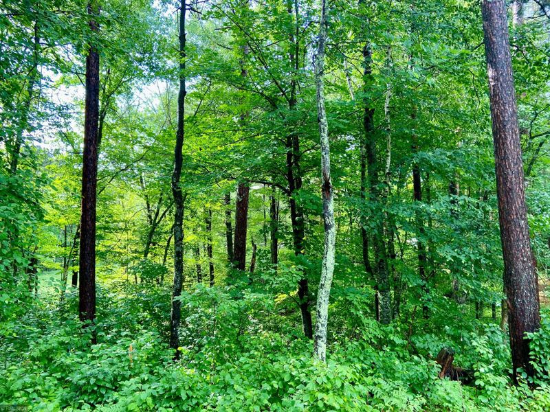 XYZ Spruce Dr, Sturgeon Lake, MN 55783