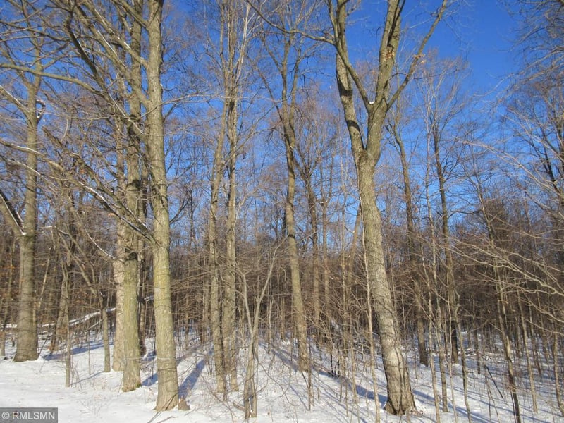 1121 6 1/2 Avenue, Hillsdale, WI 54733