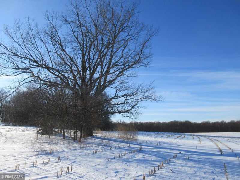 1121 6 1/2 Avenue, Hillsdale, WI 54733