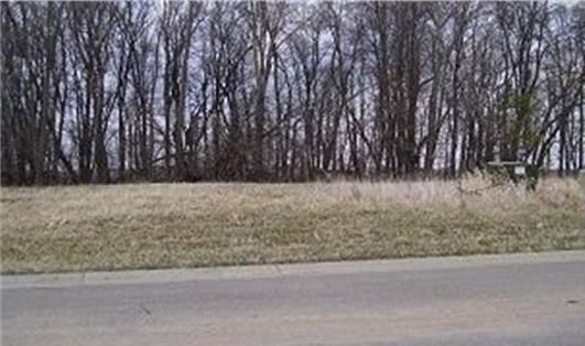 46 Balsam Ln, Madison Lake, MN 56063