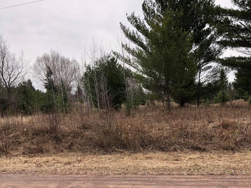 160 S Sweden Rd, Grand View, WI 54839