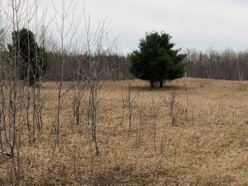 160 S Sweden Rd, Grand View, WI 54839
