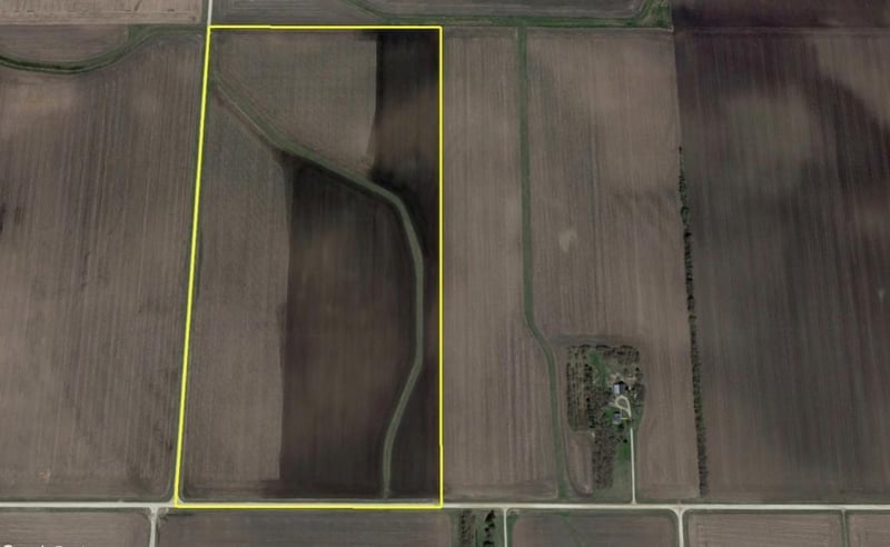 XXXX Dodge Mower Rd, Hayfield, MN 55940