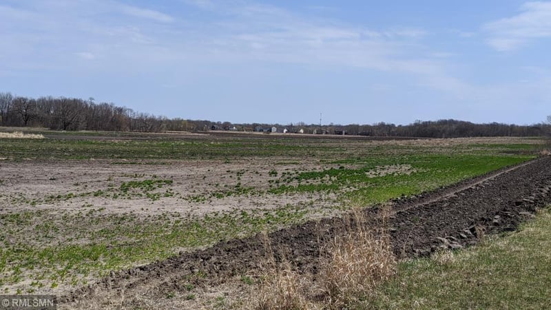 XXXX Territorial Rd, Rogers, MN 55374