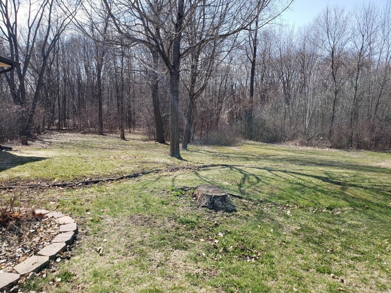 1461 N Willow Dr, Medina, MN 55356