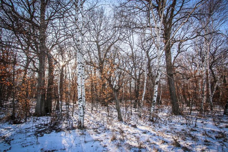 21749 Trestle Ridge Rd, Albany, MN 56307
