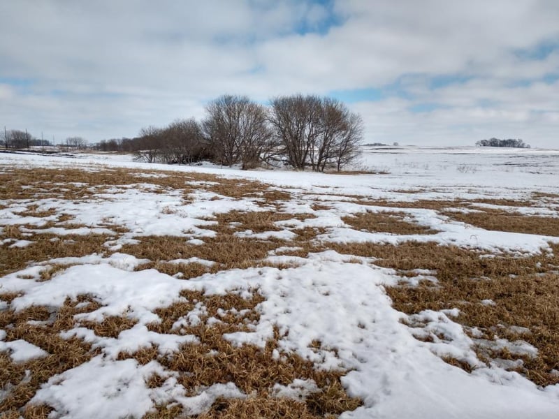 1xxx1 State Hwy 212, Brownton, MN 55312