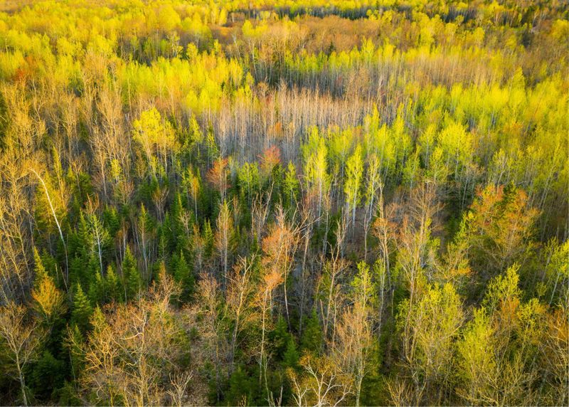 XXX 150th Ln, Finlayson, MN 55735