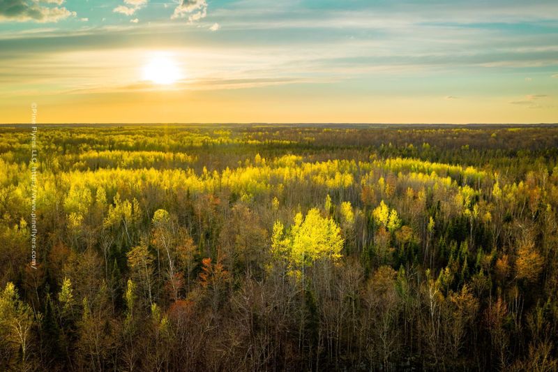 XXX 150th Ln, Finlayson, MN 55735