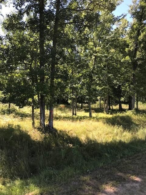 L3B4 Settler Trl, Merrifield, MN 56465