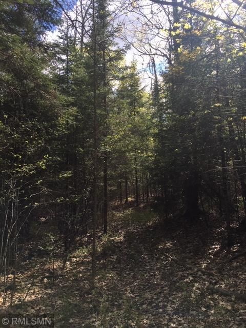TBD Willow Lake Dr, Deer River, MN 56636