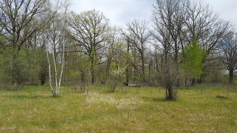 County Road 71, Eagle Bend, MN 56446
