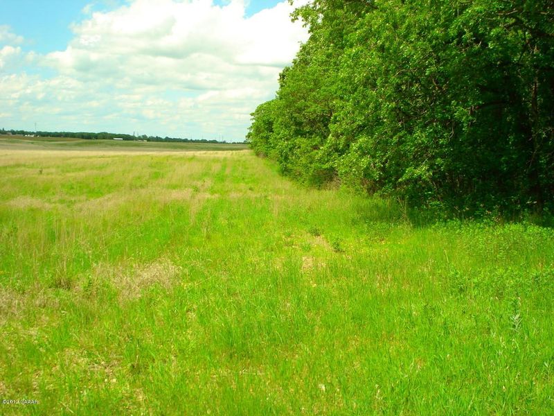 TBD State Hwy 29 Hw, Parkers Prairie, MN 56361