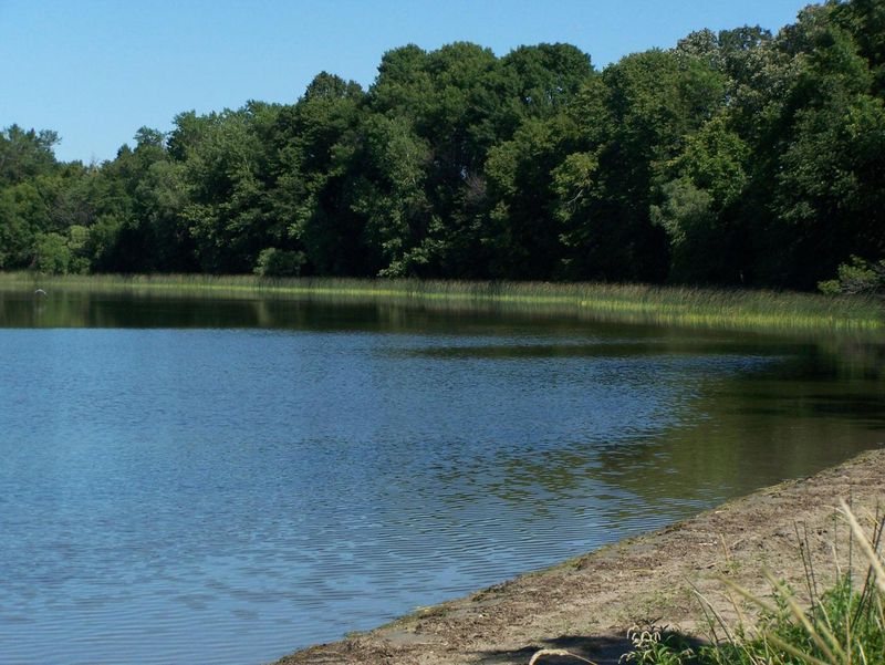 0 Aaron Hts, Brandon, MN 56315