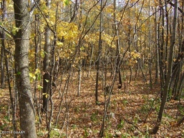 Queens Rd SE, Alexandria, MN 56308