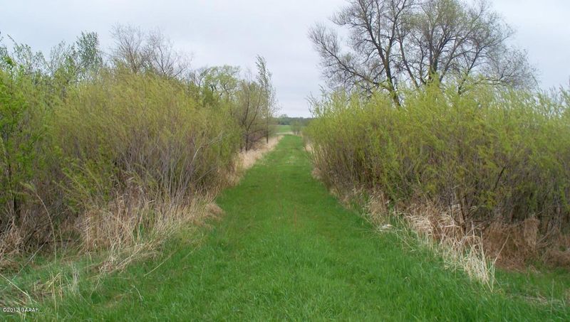 County Rd 79, Alexandria, MN 56308