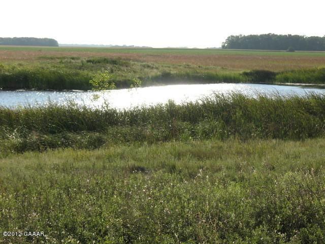 200th, Elbow Lake, MN 56531