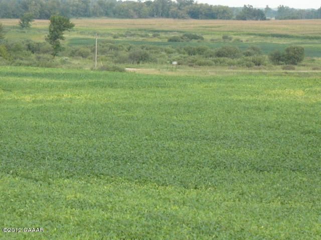 Dove Ln, Parkers Prairie, MN 56361