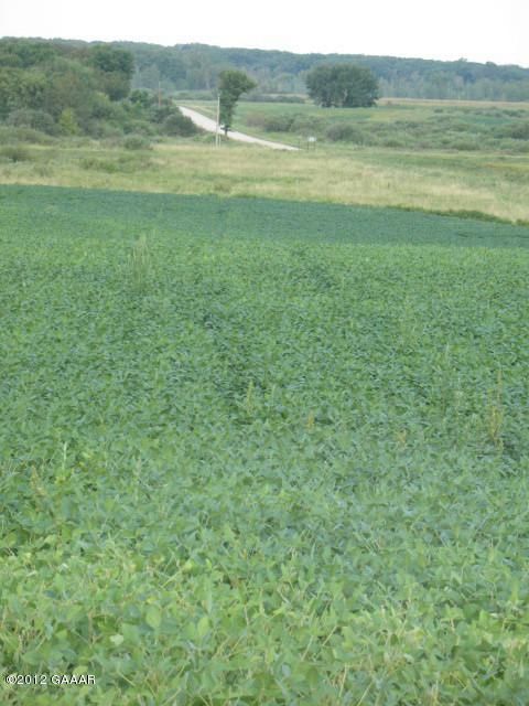 Dove Ln, Parkers Prairie, MN 56361