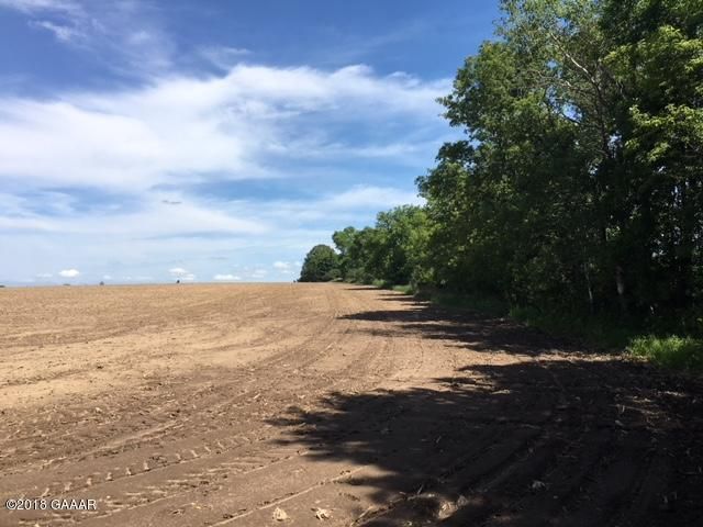 414th St, Bertha, MN 56437