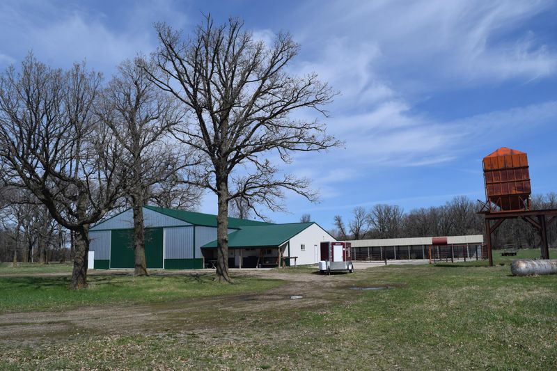 15604 145th Ave, Villard, MN 56385
