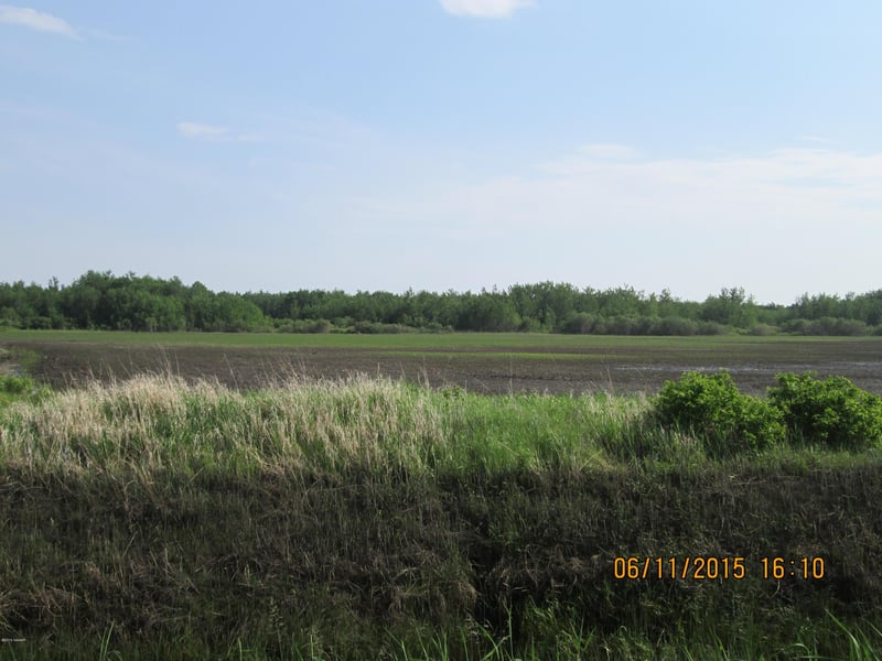XXXX 180th St NE, Goodridge, MN 56725