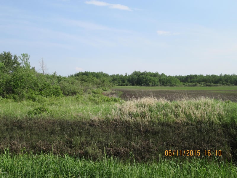 XXXX 180th St NE, Goodridge, MN 56725