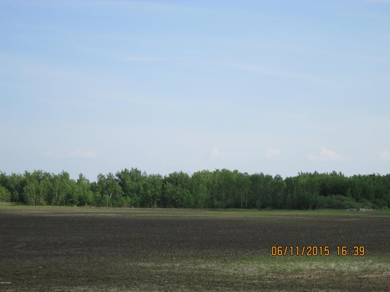 XXXX 180th St NE, Goodridge, MN 56725