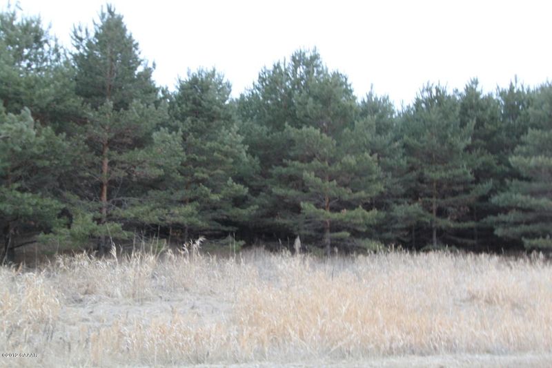 L 7 Blk 1 Ida Pines, Alexandria, MN 56308
