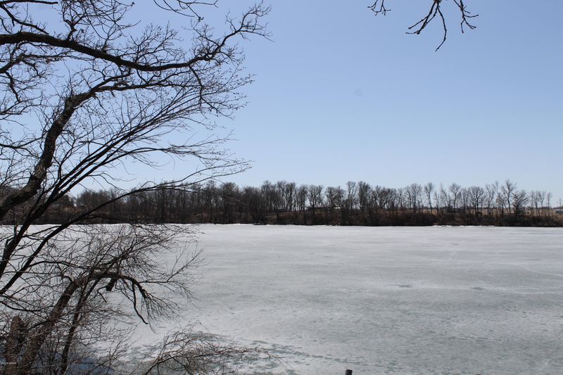 10999 167th St, Hoffman, MN 56339