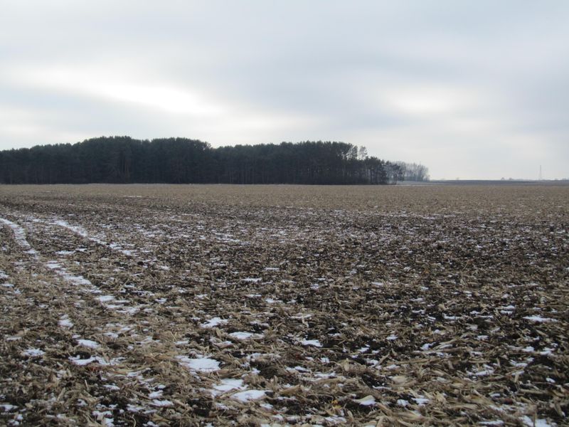 XXX 328th St #West ''80'', Litchfield, MN 55355