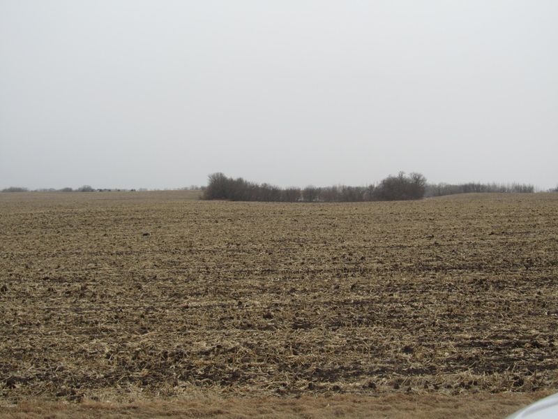 XXX Highway 104, Glenwood, MN 56334