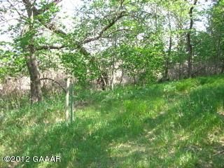 XXXXX 215th St, Glenwood, MN 56334