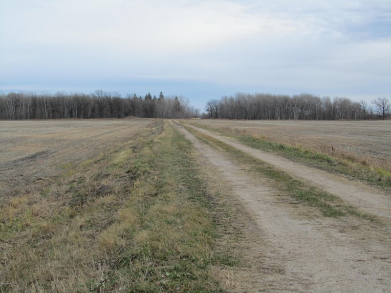 XXX 150th Ave SE, Saint Hilaire, MN 56754