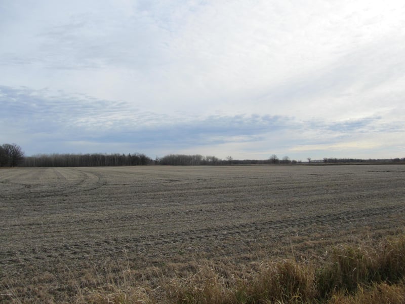 XXX 150th Ave SE, Saint Hilaire, MN 56754
