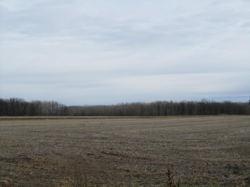 XXX 150th Ave SE, Saint Hilaire, MN 56754