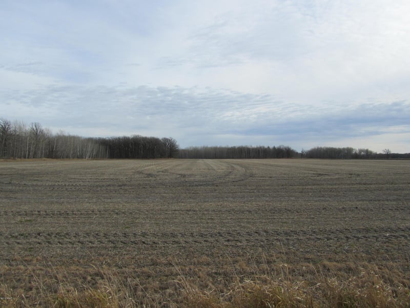 XXX 150th Ave SE, Saint Hilaire, MN 56754