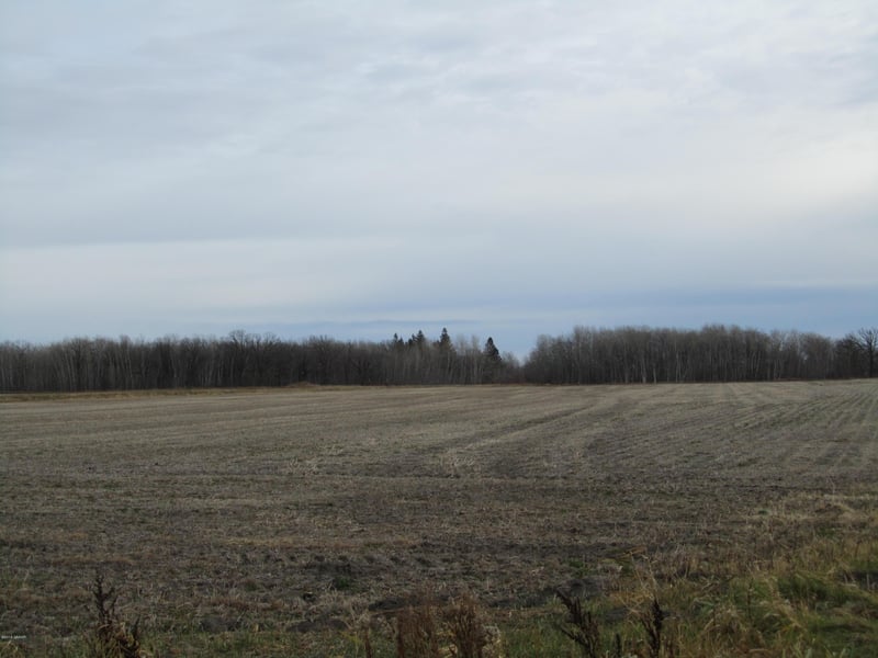 XXX 150th Ave SE, Saint Hilaire, MN 56754