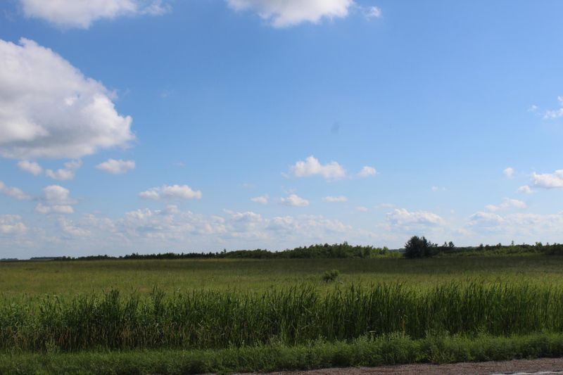 27XXX State Highway 55, Wendell, MN 56590