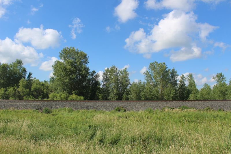 27XXX State Highway 55, Wendell, MN 56590