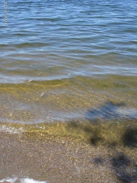 25180 Pelican Lake Rd, Glenwood, MN 56334