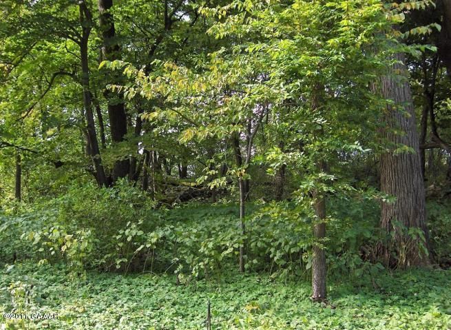 Lots 5 - 6 Evenhurst Rd, Ashby, MN 56309