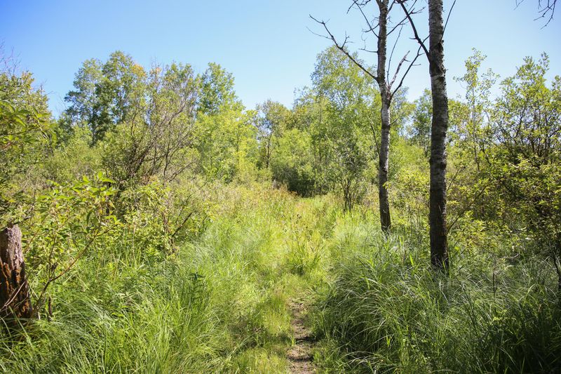 Fairfield Creek Rd NE, Nelson, MN 56355