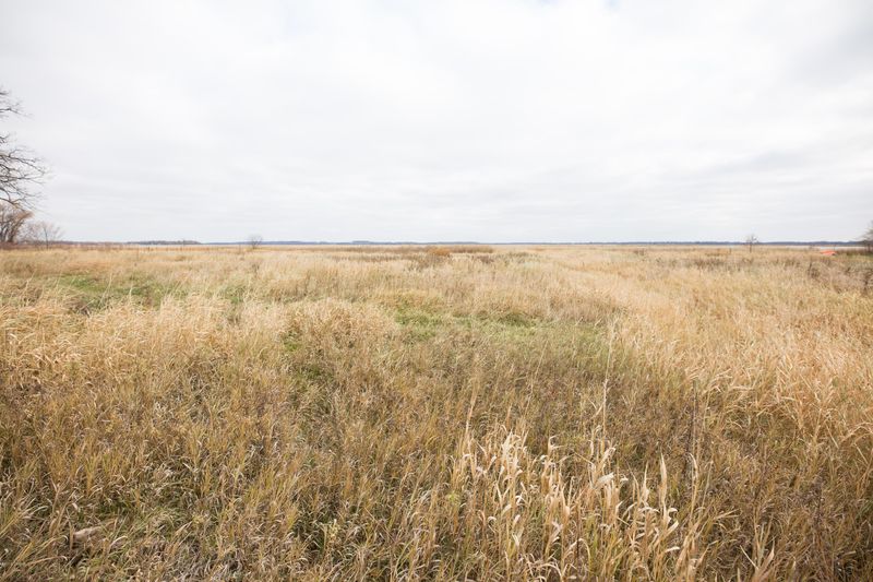 Lot 5 Ryan Dr Ne, Osakis, MN 56360