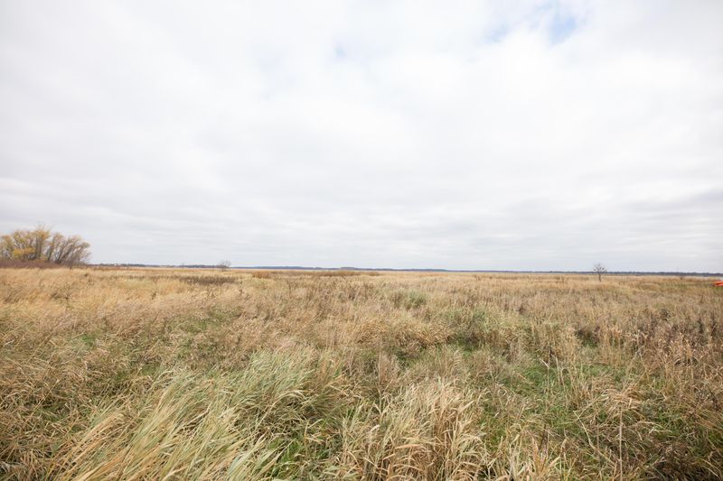 Lot 6 Ryan Dr Ne, Osakis, MN 56360