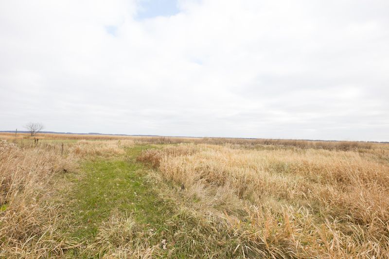 Lot 4 Ryan Dr Ne, Osakis, MN 56360