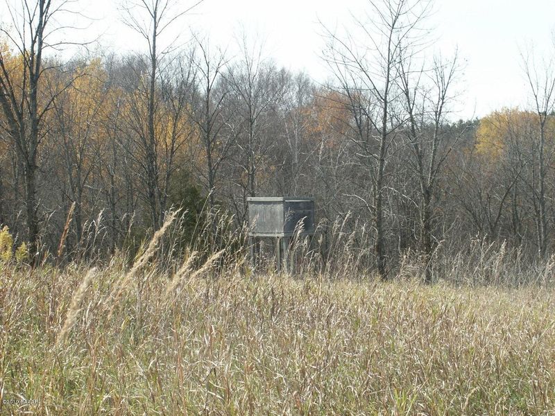 Tract A S Eagle Lake Rd, Battle Lake, MN 56515